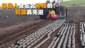 味精包裝機(jī),食品包裝設(shè)備,廠家直銷,歡迎來廠驗貨