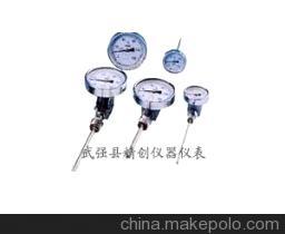 【超強(qiáng)防腐316材WSS-501F雙金屬溫度計(jì)】價(jià)格,廠家,圖片,溫度計(jì),武強(qiáng)縣精創(chuàng)儀器儀表廠(銷售公司)-